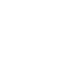 Ilex b.m. Logo